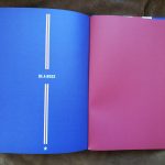 LANCE, THE RISE & FALL IN 14 SONGS (BOEK + CD)