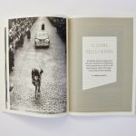 De Muur #52